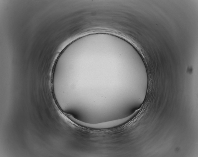 X0000099511535200806121427