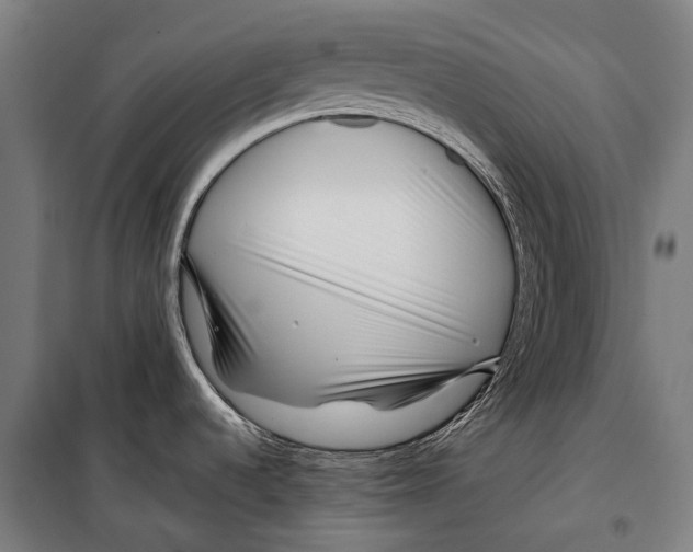 X0000099511536200806121427