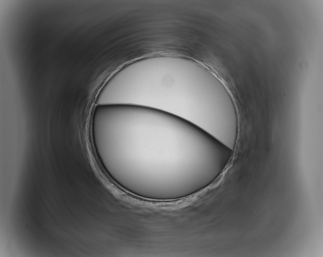 X0000099520001200805151042