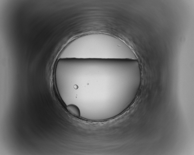 X0000099520002200805151042