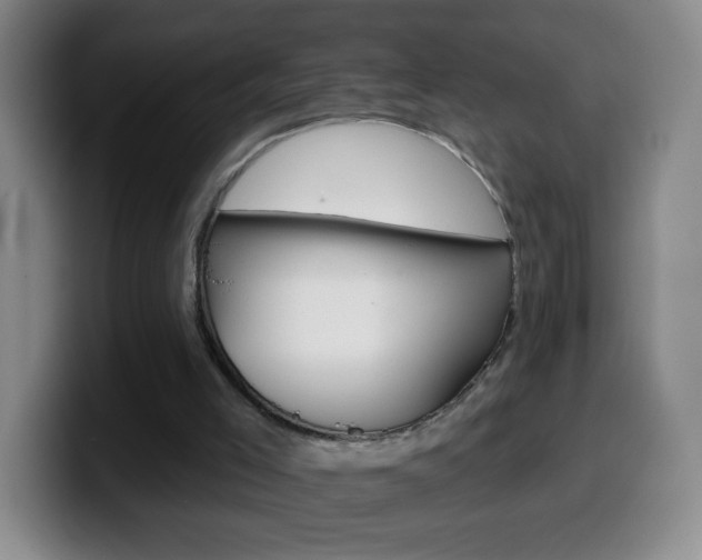 X0000099520005200805151042