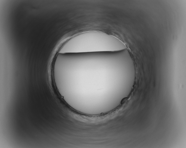 X0000099520006200805151042