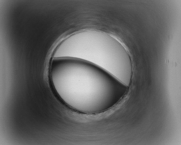 X0000099520007200805151042