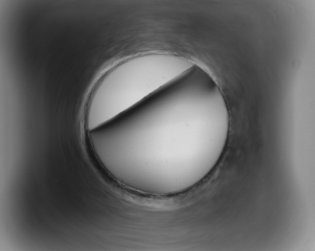 X0000099520008200805151042