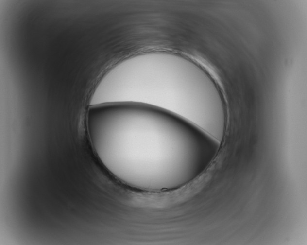 X0000099520009200805151042