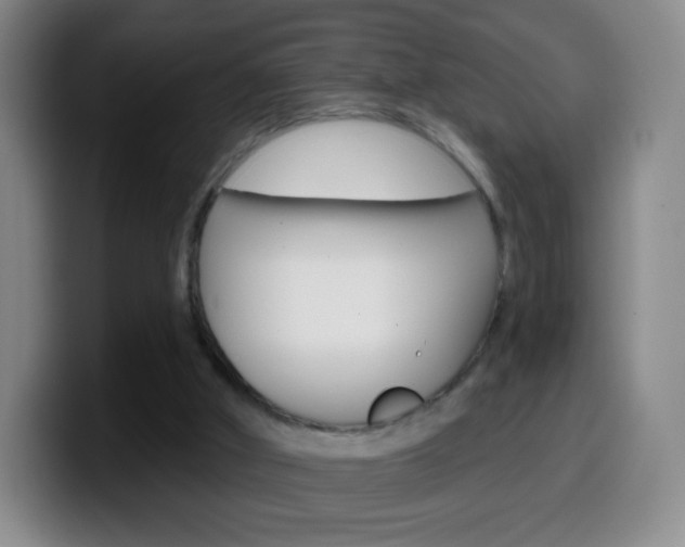 X0000099520010200805151042