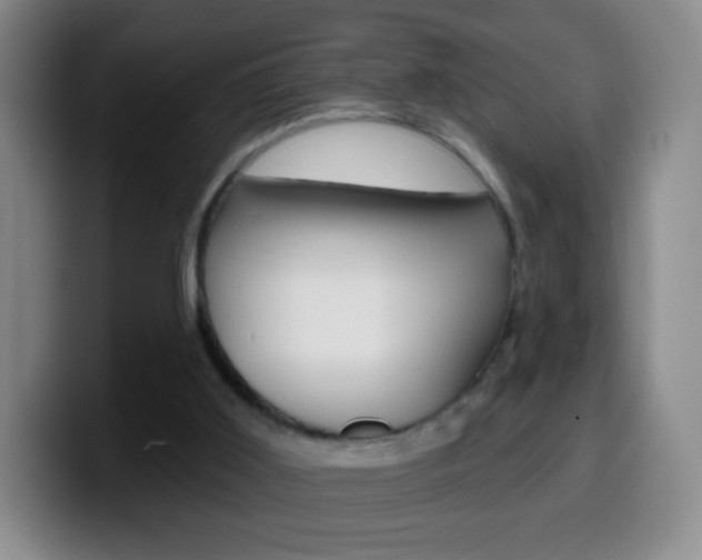 X0000099520011200805151042