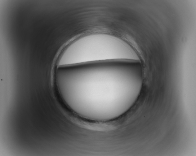 X0000099520012200805151042