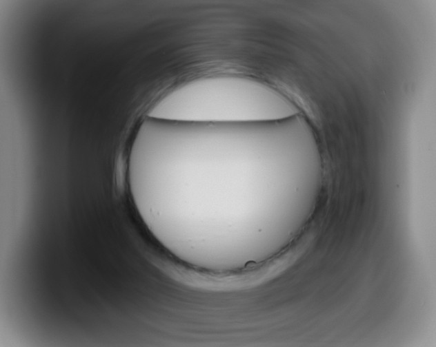 X0000099520014200805151042