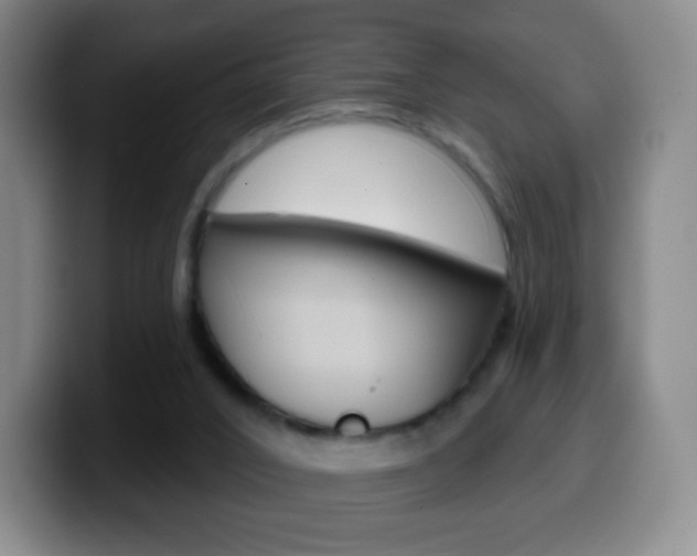 X0000099520016200805151042