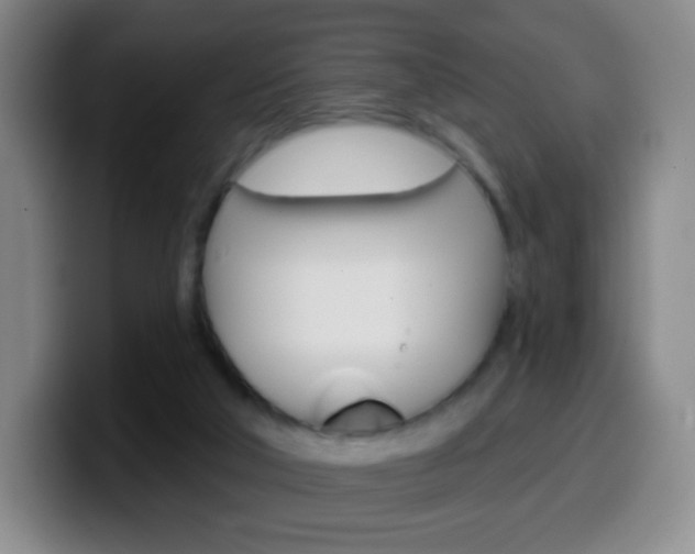 X0000099520018200805151042