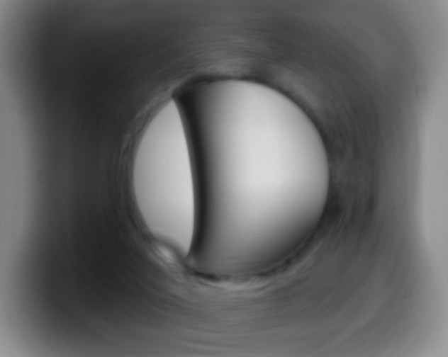 X0000099520020200805151042