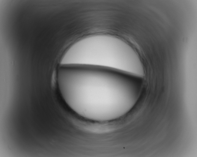 X0000099520024200805151042