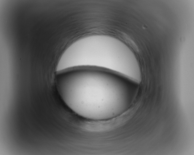 X0000099520025200805151042