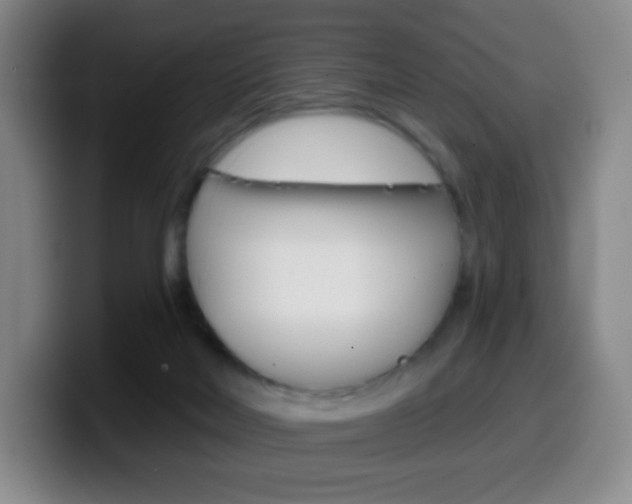 X0000099520026200805151042