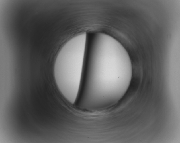 X0000099520028200805151042