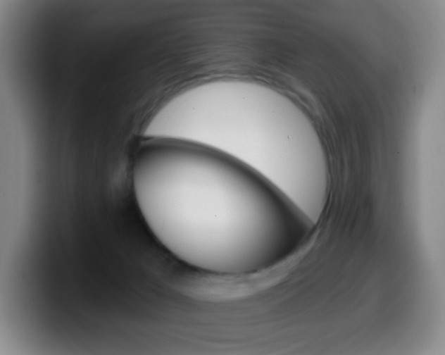 X0000099520029200805151042