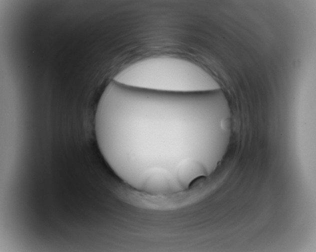 X0000099520030200805151042