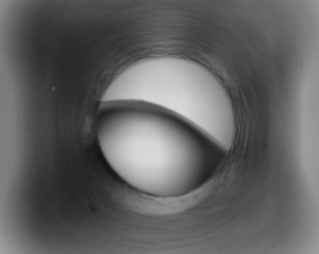 X0000099520031200805151042