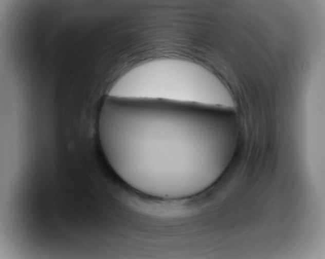 X0000099520032200805151042