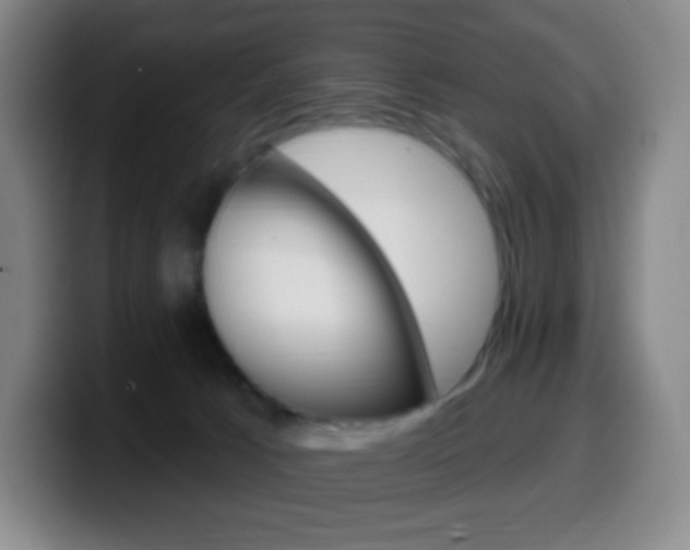 X0000099520033200805151042