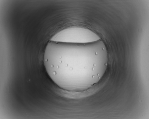 X0000099520034200805151042