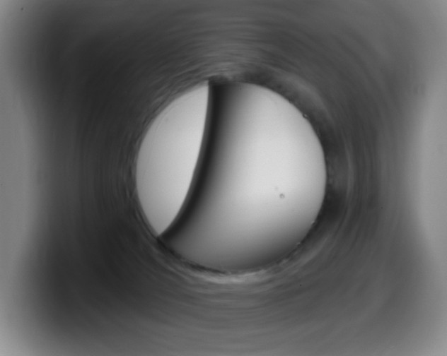 X0000099520036200805151042