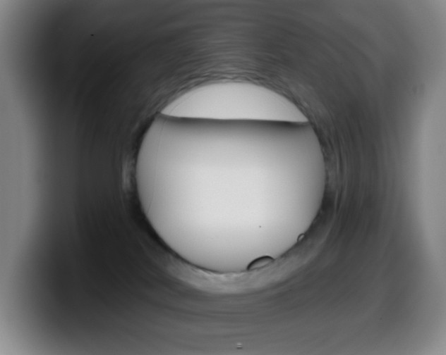 X0000099520038200805151042