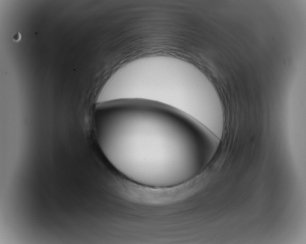 X0000099520039200805151042