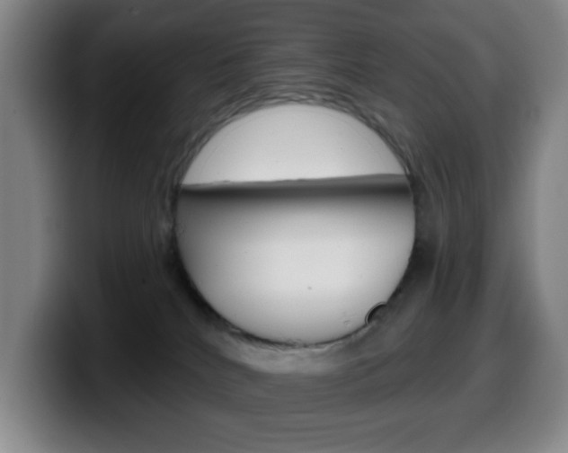 X0000099520040200805151042