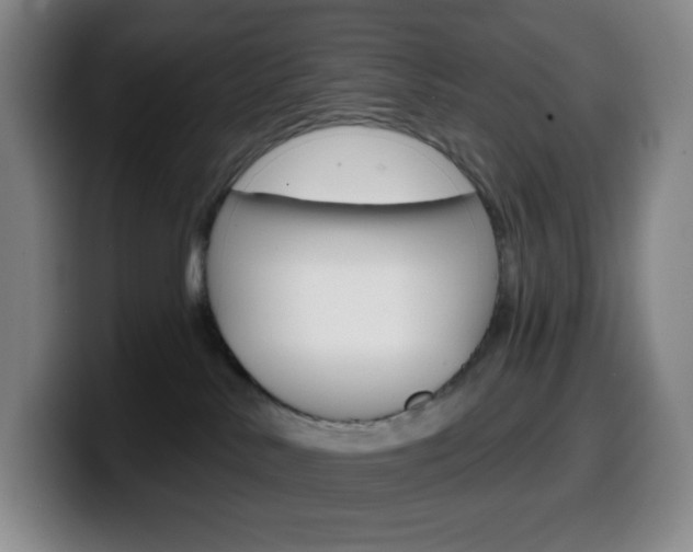 X0000099520042200805151041