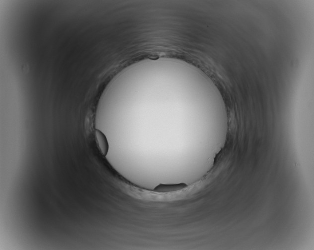 X0000099520043200805151041