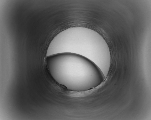X0000099520045200805151041