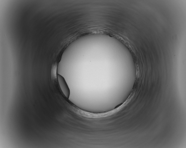 X0000099520047200805151041