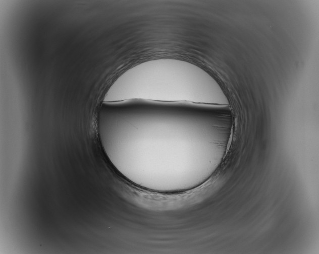X0000099520048200805151041