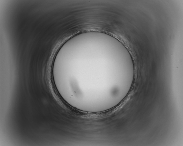 X0000099520049200805151041