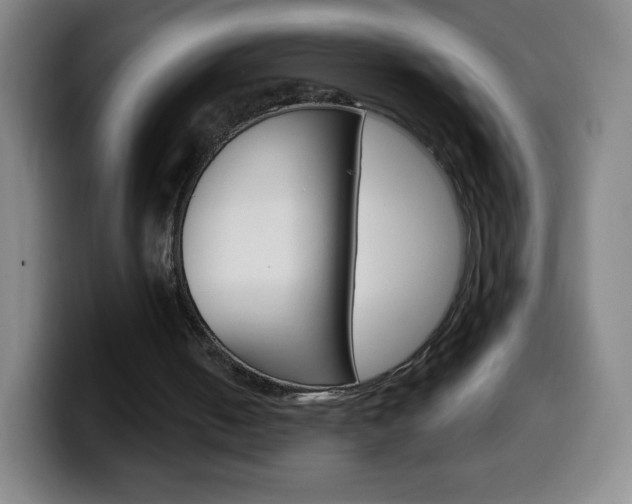 X0000099520050200805151041
