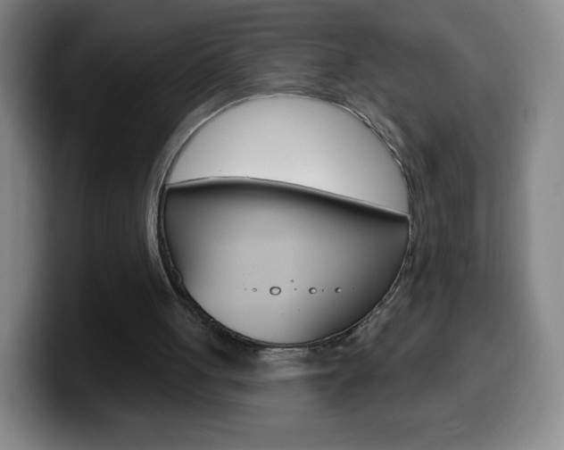 X0000099520051200805151041
