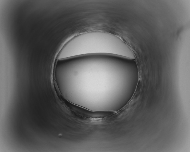 X0000099520052200805151041