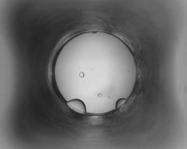 X0000099520053200805151041