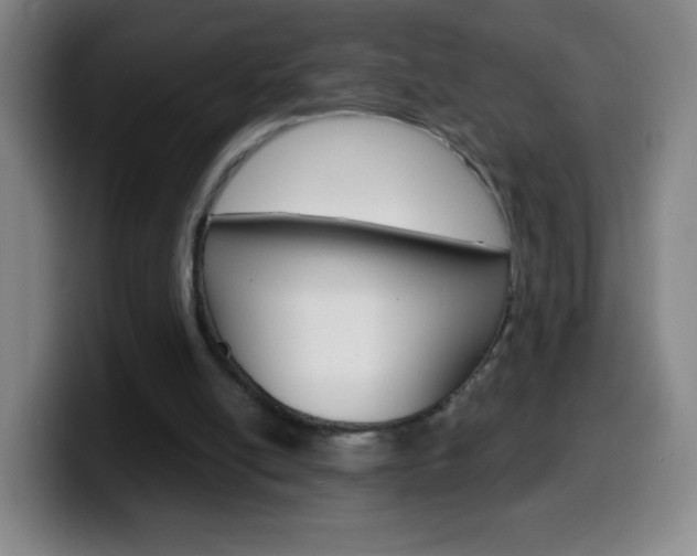 X0000099520054200805151041