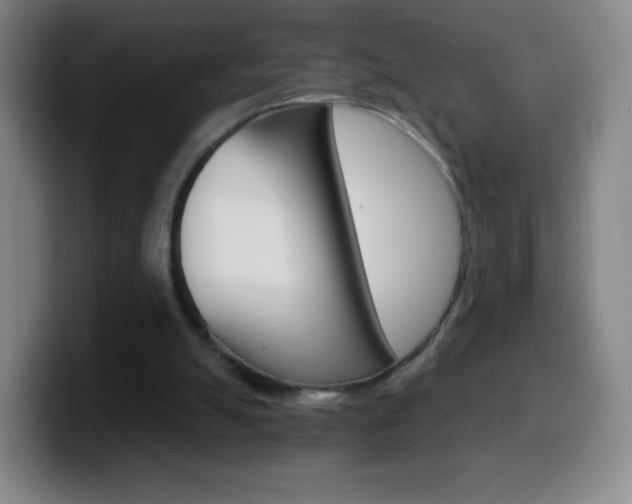 X0000099520055200805151041