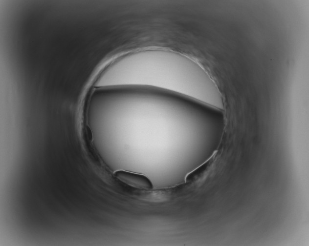 X0000099520056200805151041