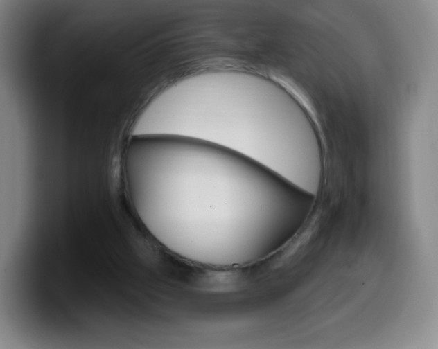 X0000099520057200805151041
