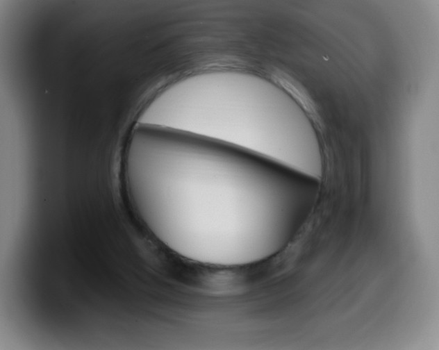 X0000099520058200805151041
