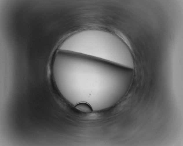 X0000099520059200805151041