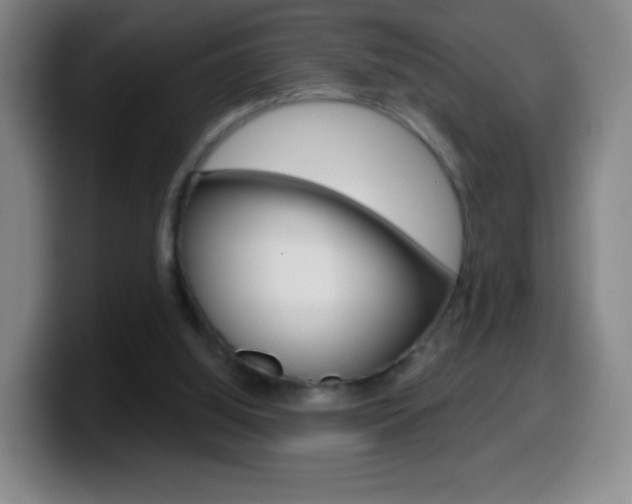 X0000099520060200805151041