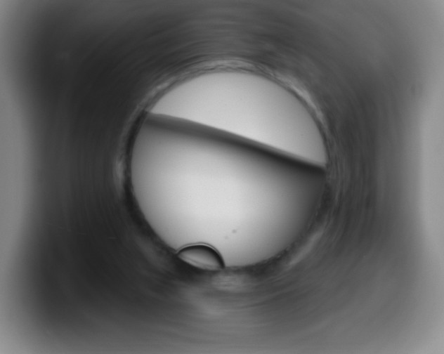 X0000099520063200805151041
