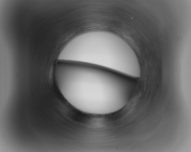 X0000099520066200805151041