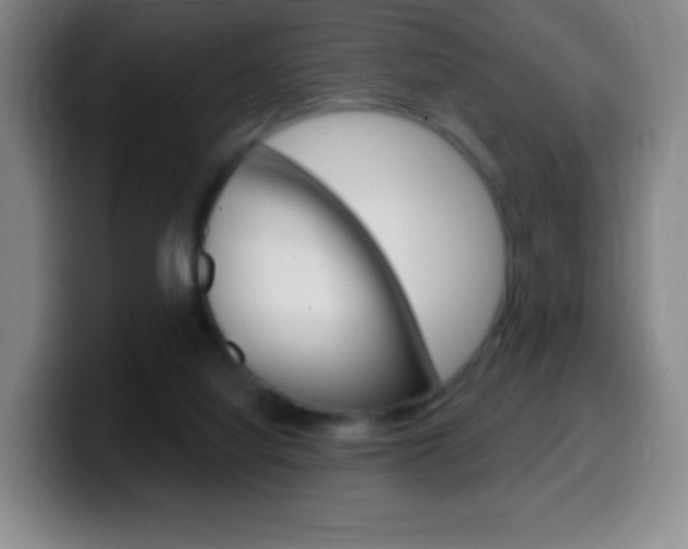 X0000099520068200805151041